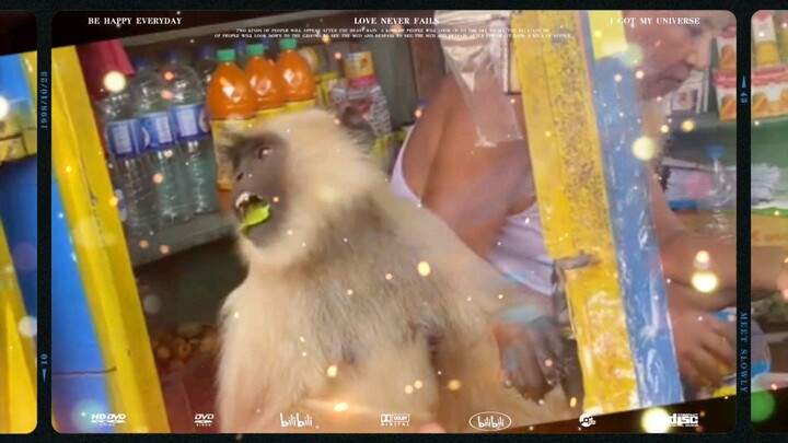 বাদর পান কিভাবে খাই তার দেখন 🐵🐒🐒