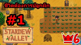 Stardew Valley Co-op Saiber #1 ชีวิตต้องการปลูกผัก