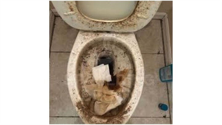 the krusty toilet song