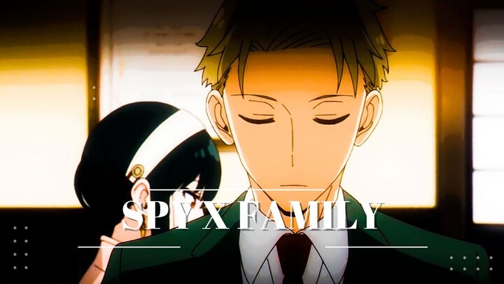 AMV | SPY X FAMILY