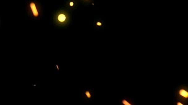 orang orang konyol 🤣