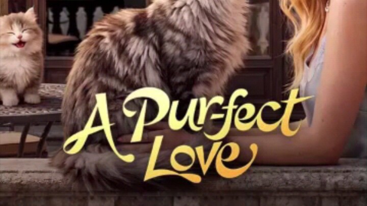 AI   A_ Purrfect_ Love_
