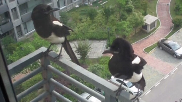 疑惑地哇了一下