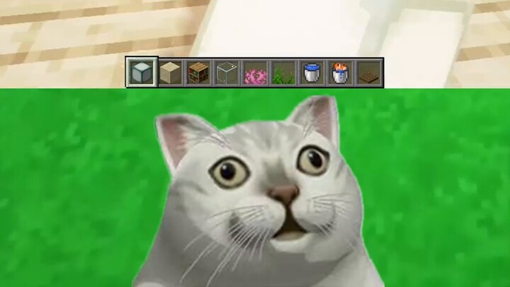 Minecraft: Tangki ikan hias, sangat indah dan bisa ditempel di dinding!
