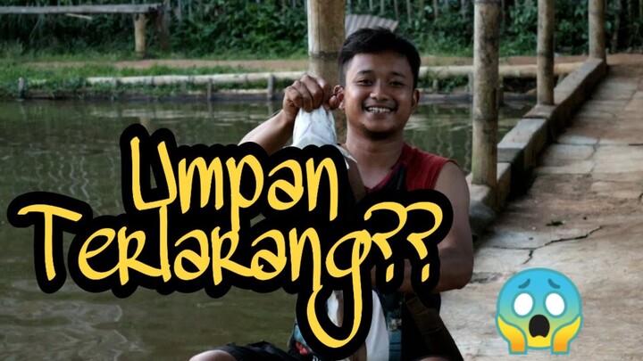 Baraya Ngaprak