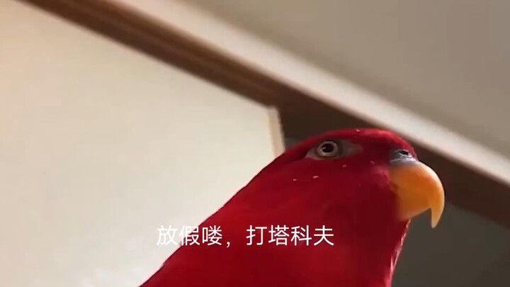 When you’re knife-running in Tarkov, your relative’s kid shows up.