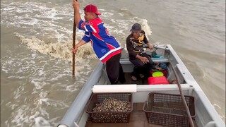 Đây là công việc gì trên biển? Cùng tìm hiểu bốn loại nghề đánh bắt cá!