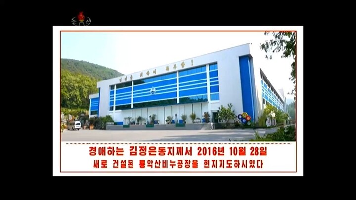 Grande liderança, feitos imortais