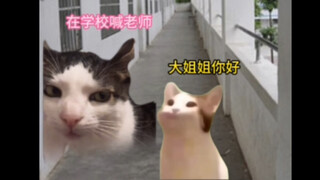 爱的教育在此刻形成了完美的闭环