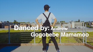 【安猪】Gogobebe-真.全区最晚-趁着年轻多装嫩-装嫩失败-穿背带裤跳舞-是个错误的决定-但是以后还得穿-难受