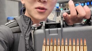 Can bullets be taken on a plane?