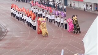 رأس الأسد لا يعرف أبدًا ما الذي تفعله مؤخرته.