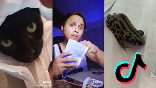 "You won't believe what they put in your face mask" - TikTok Meme Compilation