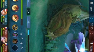 ML player with partner