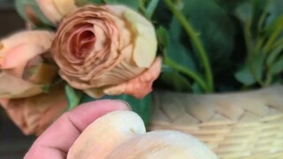 การผสมข้ามพันธุ์? มอบพัดลมไม้แกะสลักให้กับคุณ