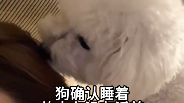 After the dog makes sure you’re asleep, is it going to eat you?