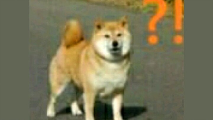 【Seo Myung-ho】??? Gak nyangka malah didesak nikah sama idola sendiri?!