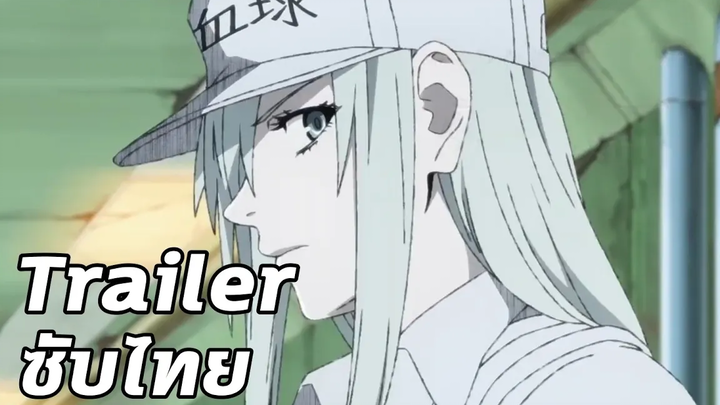 เซลล์ขยัน พันธุ์เดือด Hataraku Saibou Code Black Trailer Thai sub