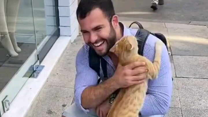 小猫：装模作样一分钟，吃喝不愁十五年