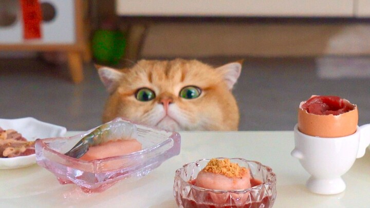 แมวหลงเข้าร้านอาหารหรู แค่ตัวเดียวก็กินหมดทั้งโต๊ะ!