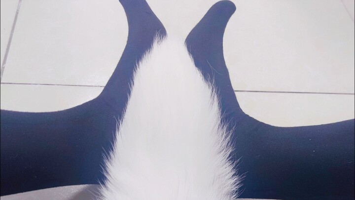 Sudah tumbuh ekor, miaw~