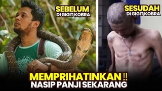 kabar duka, Nasip Panji petualang setelah di gigit kobra