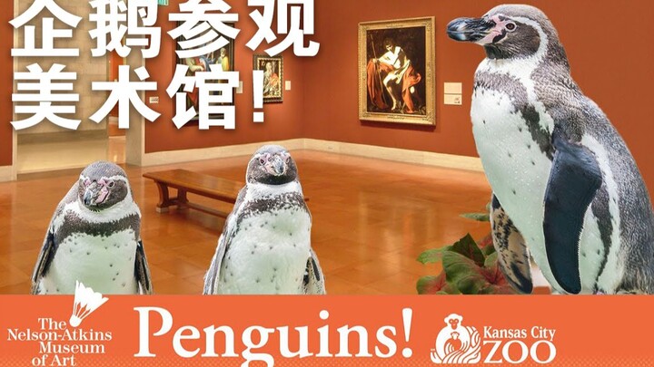 Penguin Art Museum “appreciates” famous paintings—doesn’t love Monet but chooses art history instead
