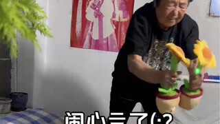 向日葵🌻攻击力太大了！