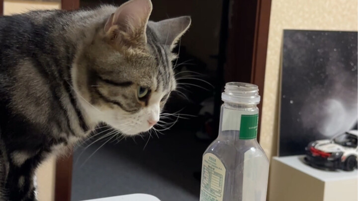 ความจริงถูกเปิดเผยแล้ว