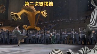 马达加斯加的这老奶奶太厉害了，收拾狮子比收拾小猫咪还简单，还抗揍