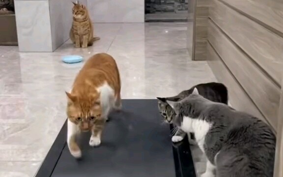 นี่แหละคือความเป็นมืออาชีพ