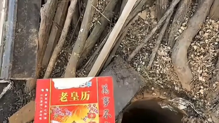 Blogger khoe cái hố nhỏ sau vườn nhà mình, ai ngờ dưới đáy lại là một thế giới bí ẩn khác hẳn!!!