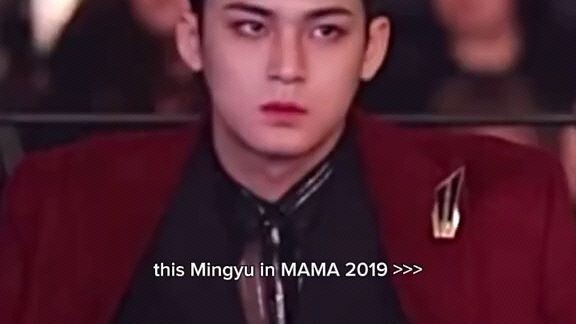 MINGYU Y'ALL