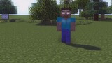 What can a 648, one of the Minecraft block Xuan animations, do