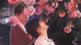 Khi tôi nhìn thấy Thẩm Nguyệt tối qua, "nữ anh hùng được chọn" hiện lên trong tâm trí tôi.