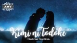 From Me to You 「AMV」Kimi ni Todoke - Tomofumi Tanizawa