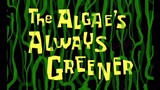 Spongebob Squarepants S3 (Malay) - The Algae's Always Greener