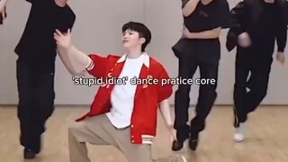 woozi ins转发伴舞老师的视频，stupid idiot的练习室真的太可爱了