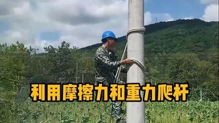 Kearifan para pekerja! Memanfaatkan gesekan dan gravitasi untuk memanjat pohon. #Sains #Bersantai #M