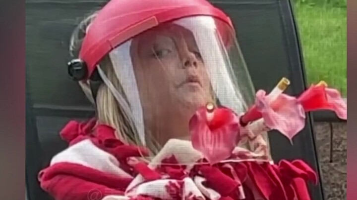 Observing hummingbirds requires careful camouflage.