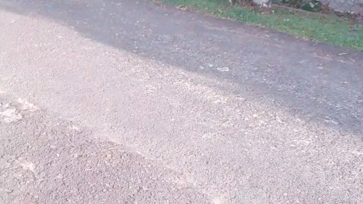 video pertamaku semoga kalian suka