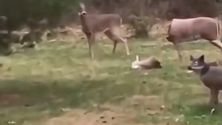 Ada yang jago matematika? Tolong hitung berapa luas daerah yang diarsir.