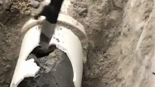 真是万万没想到！