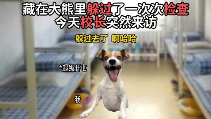 一个新校规一个离谱事件