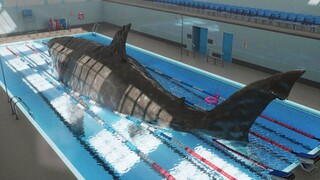 Megalodon Caught on Tape inside a Public Swimming Pool