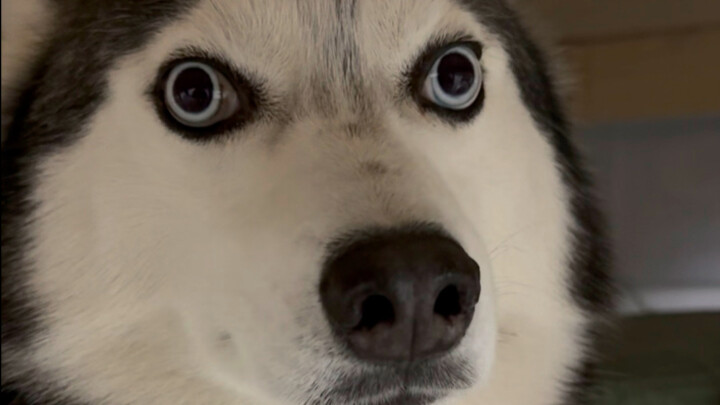 I’m so mad—the bread I just opened disappeared the second I turned around!