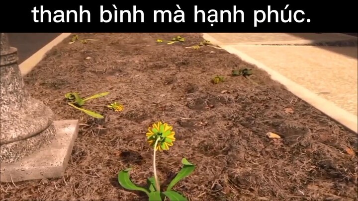 yên bình lắm #dailyvlog#life#chill