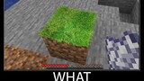 Minecraft รออะไร meme part 30 สมจริง minecraft หญ้า