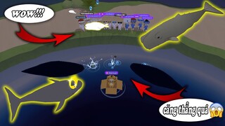 PLAY TOGETHER | "CUỘC CHIẾN ÁO DÀI" SĂN CÁ HIẾM "CÁ NHÀ TÁNG VƯƠNG MIỆN" VÀ "HẢI CẨU" | QUÍ KA