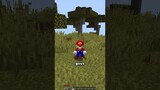 Minecraft Tapi Aku Jadi Mario 64